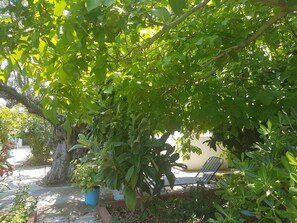 Terrasse/gårdhave