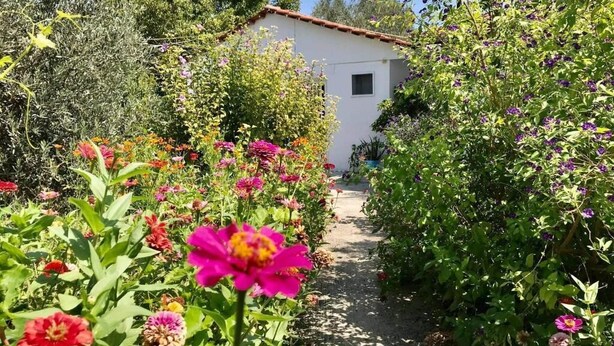 A garden pathway leading to a white building with a tiled roof. - Pension Zoi (Rhodes)