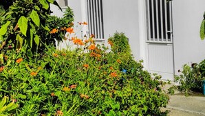 A white building with two windows and a door, surrounded by lush greenery and flowering plants. - Pension Zoi (Rhodes)