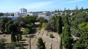 A cemetery with headstones and trees, surrounded by buildings and a clear sky. - Neat Modern Studio in Safe Complex in the Heart of Claremont (Cape Town)