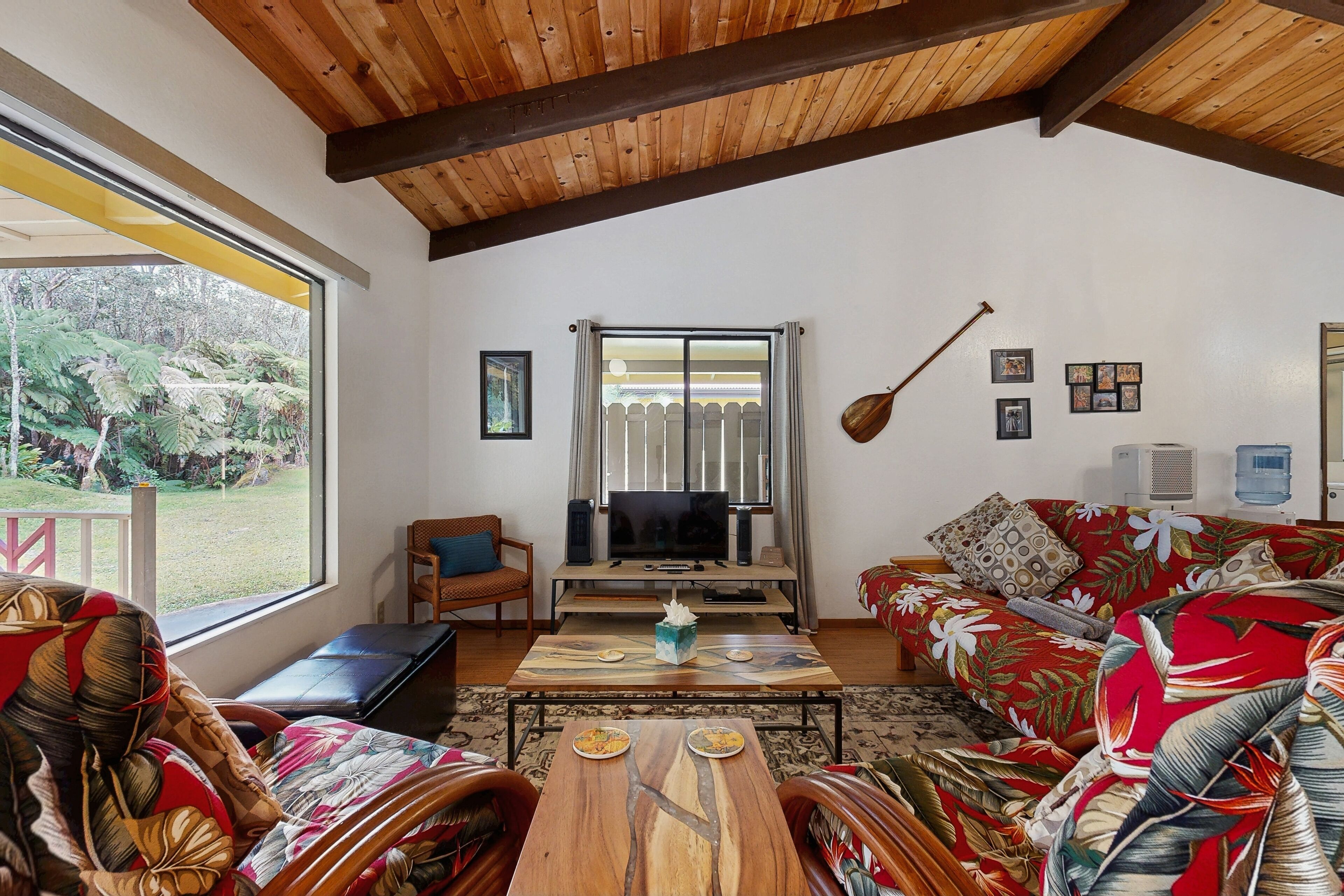 電視、DVD 播放機