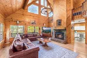 TV connectée, cheminée, jeux vidéo, lecteur de DVD