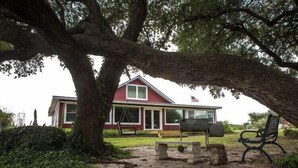 A house with a red exterior, a mailbox, a bench, and a large tree in the foreground. - Country Home on 33 acres,  sleeps 18, On the San Saba River! (Voca)