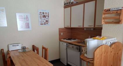 Apartment at the foot of the slopes - STATION LE PLEYNET