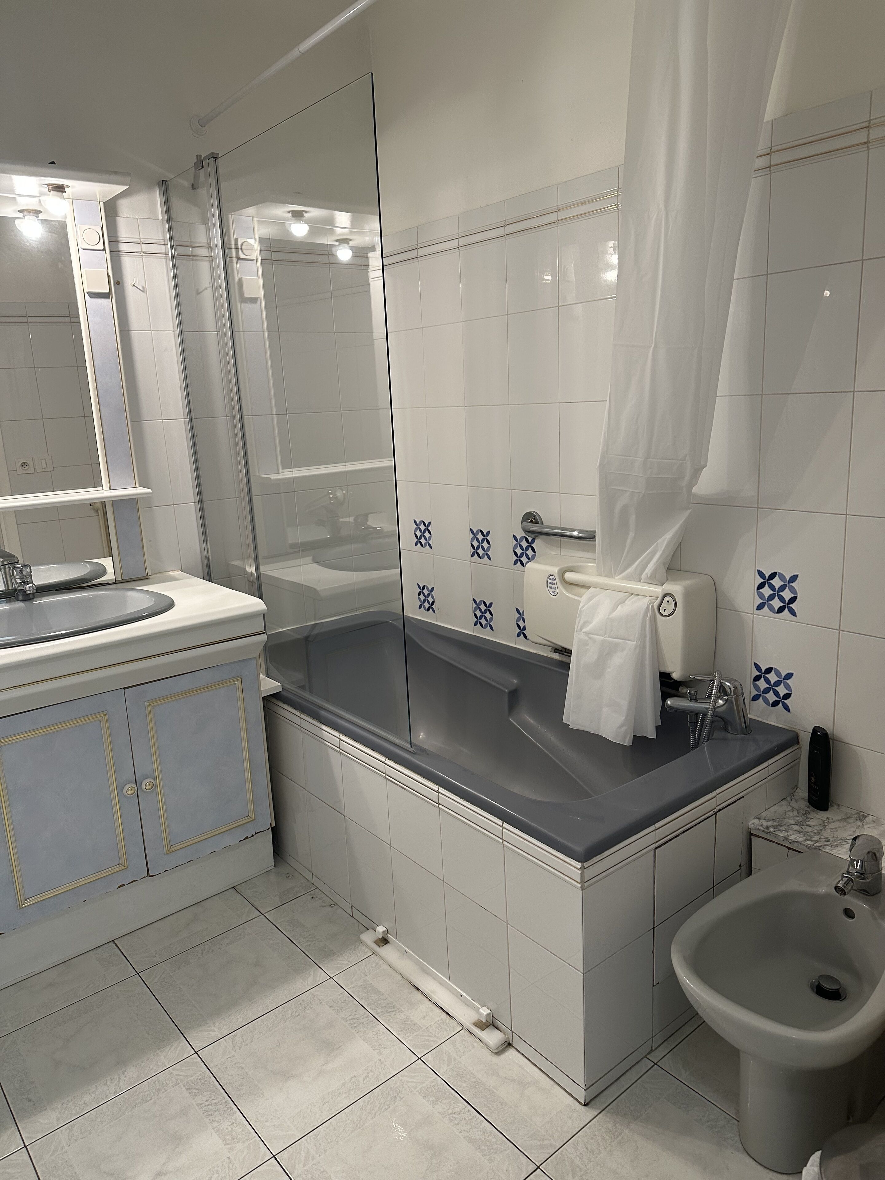 Bathtub, hair dryer, bidet, towels