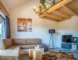 TV, fireplace, books, music library