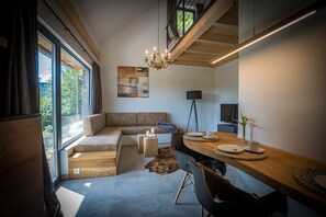 TV, fireplace, books, music library