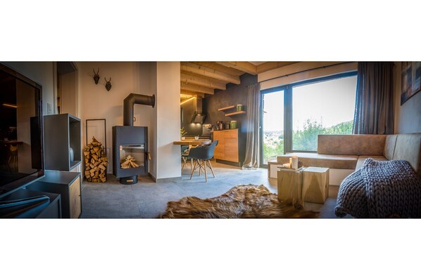 TV, fireplace, books, music library