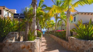 A stone pathway leading to a beach, flanked by palm trees and a sign indicating beach access. - 3 BD Oceanview Penthouse with infinity pool and jacuzzi (San Jose del Cabo)