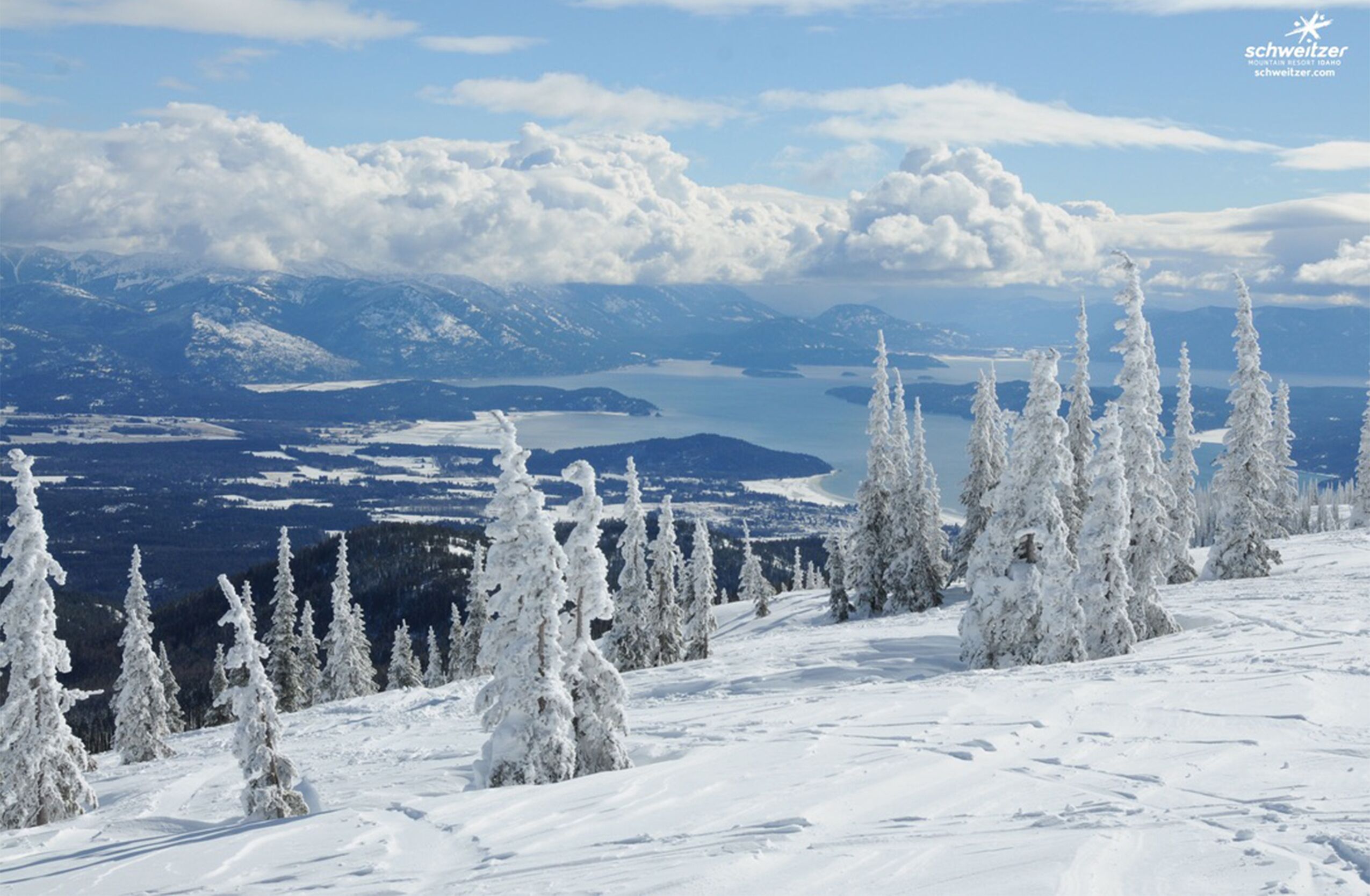 A snowy mountain landscape with snow-covered trees and a lake in the distance.