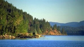 Une vue paisible sur un lac, avec une forêt dense et des montagnes lointaines.