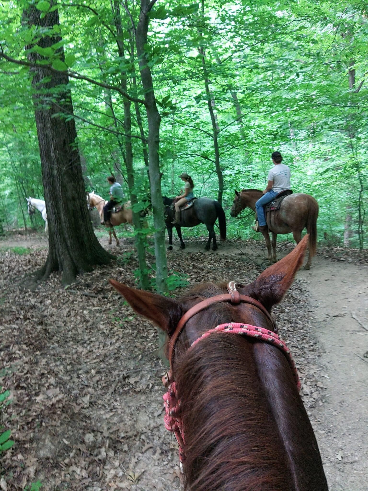 Unterkunftsgelände