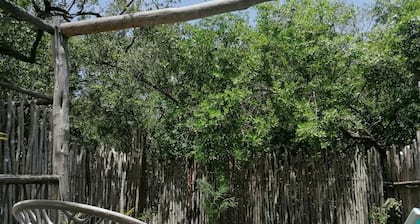 geo domes at the Tulum jungle, steps from the beach