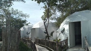 Uma trilha leva a acomodações em forma de cúpula, cercadas por árvores.