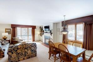 Televisión, chimenea, reproductor de DVD y libros 