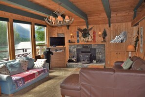 智能電視、壁爐、DVD 播放機