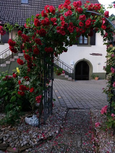 Historic winegrower's house