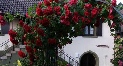 Historic winegrower's house