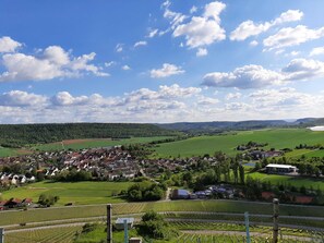 Unclassified image, 3 of 35, button - Pinot Blanc (DZ) - Weinlodge am Geissberg (Eberstadt)