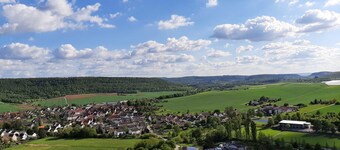 Pinot Blanc (DZ) - Weinlodge am Geissberg