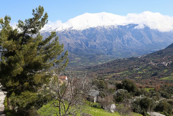 A mountainous landscape with a snow-capped peak, a village in the valley, and a prominent pine tree in the foreground. - Luxury privacy in Cretan countyside (Meronas)