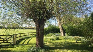 Een pad omzoomd door bomen, met een houten hek aan één kant.
