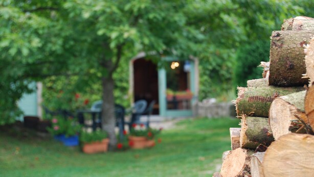 Un jardin avec une pile de bûches, un arbre et une maison dotée d’un porche.