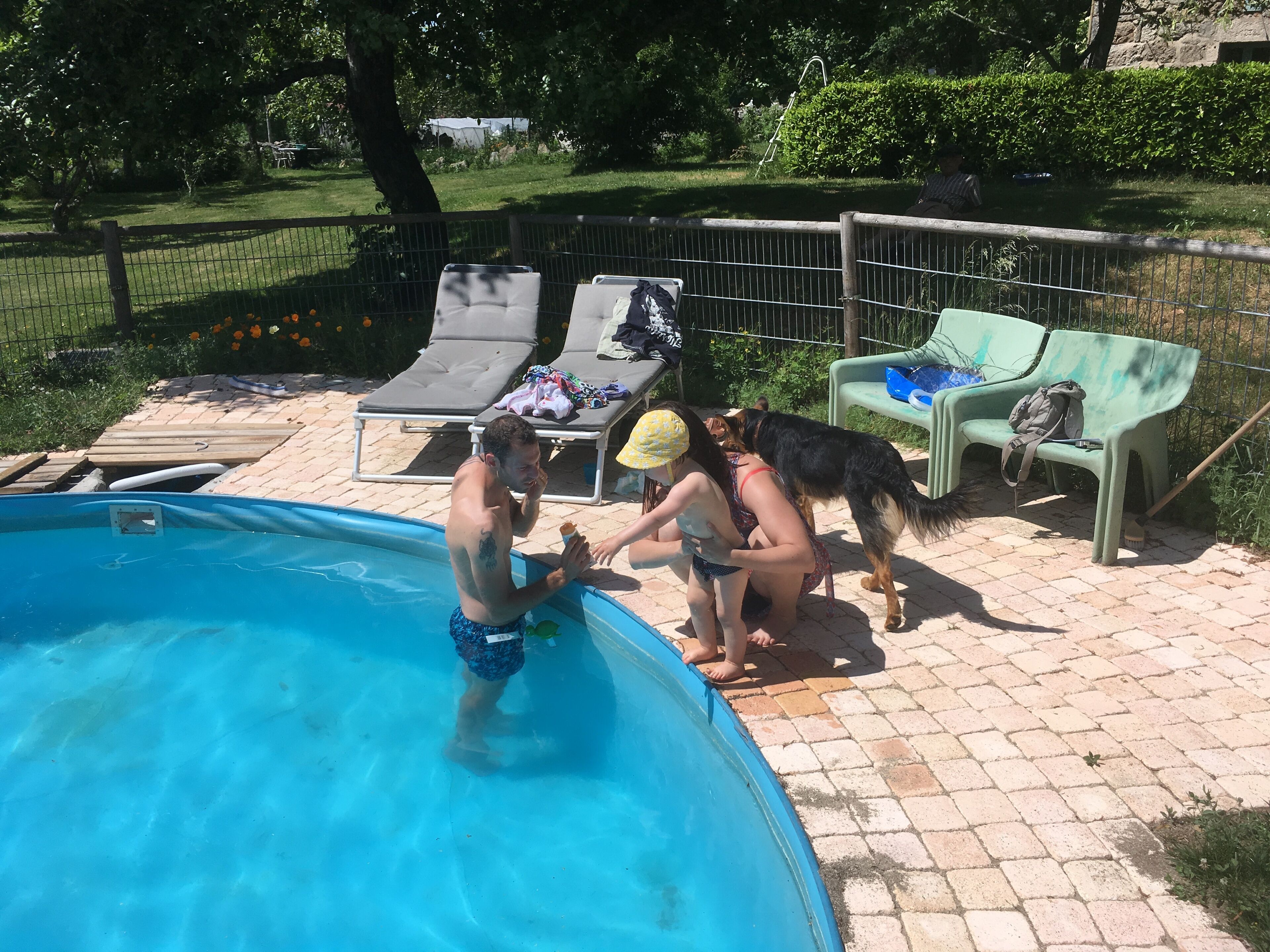 Un área de piscina con sillones de descanso y un perro.