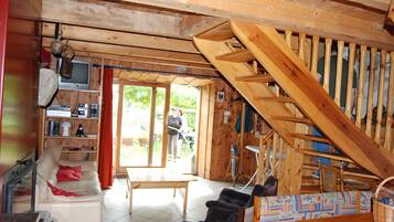 TV, fireplace, DVD player, books