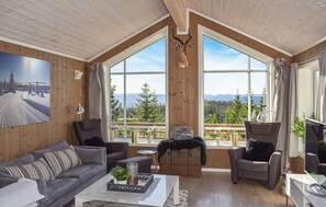 تلفزيون، مدفأة