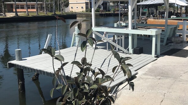 A dock with a covered seating area, a potted plant, and a calm water body with palm trees in the background.
