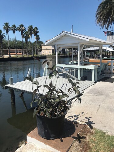 Waterfront Gulf retreat, Tranquil, Spectacular views, Wildlife, Kayaks, Fishing.