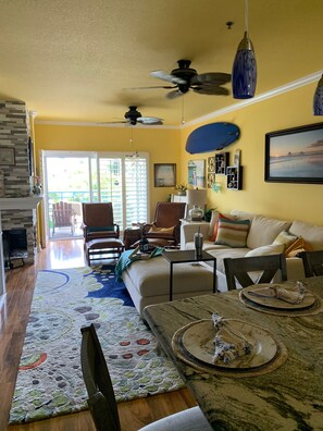Smart TV, fireplace, DVD player, books