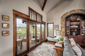 TV connectée, cheminée, lecteur de DVD, livres