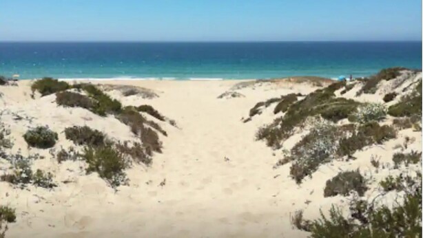 A beach with a sandy path leading to the ocean, surrounded by dunes.