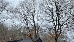 A cabin with a porch, surrounded by trees.