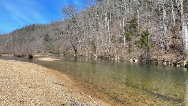 A clear river with pebbly banks and dense trees in the background.