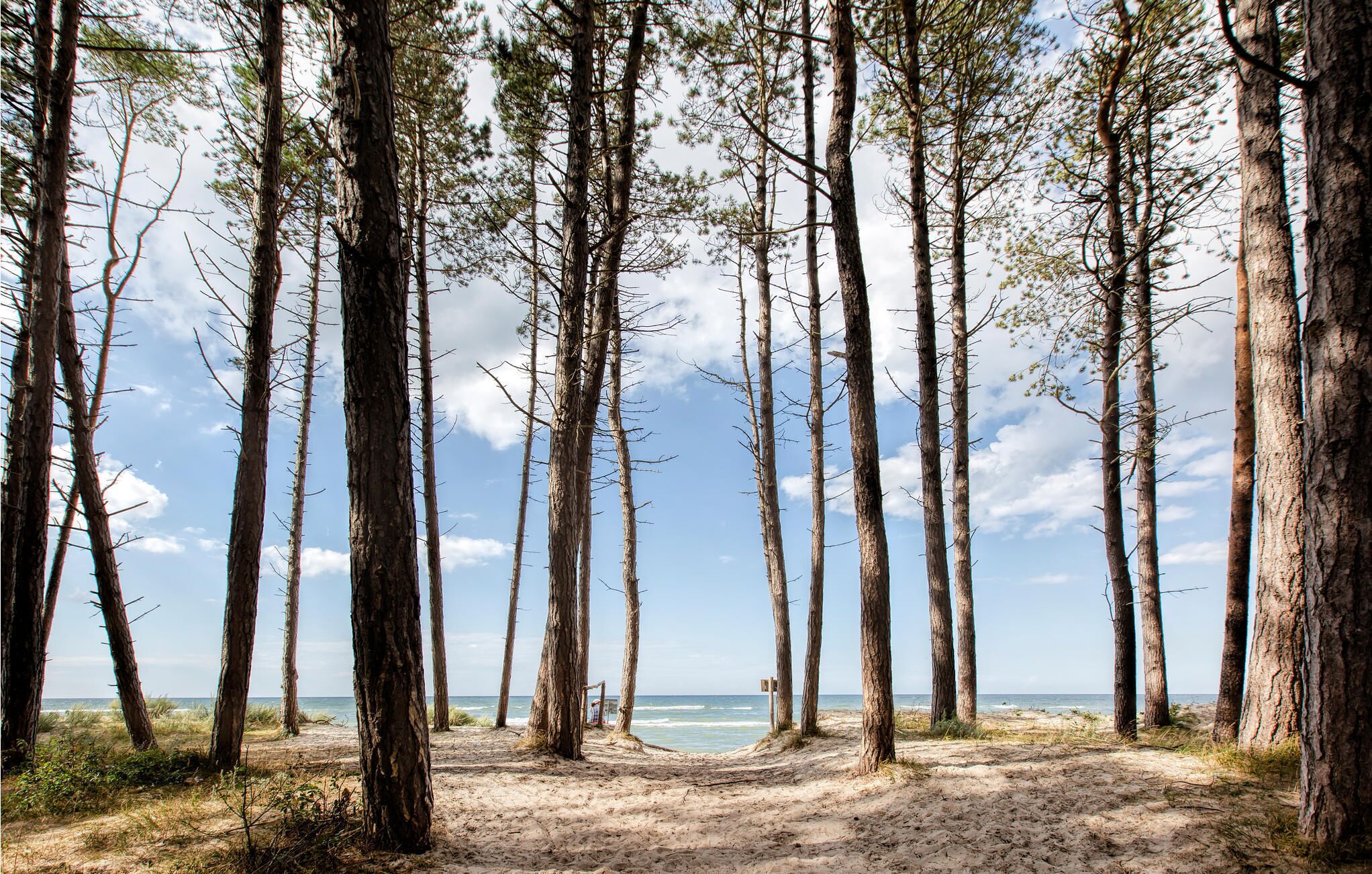 Beach nearby, fishing