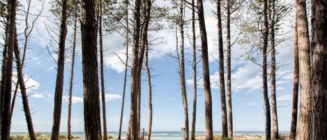 Beach nearby, fishing