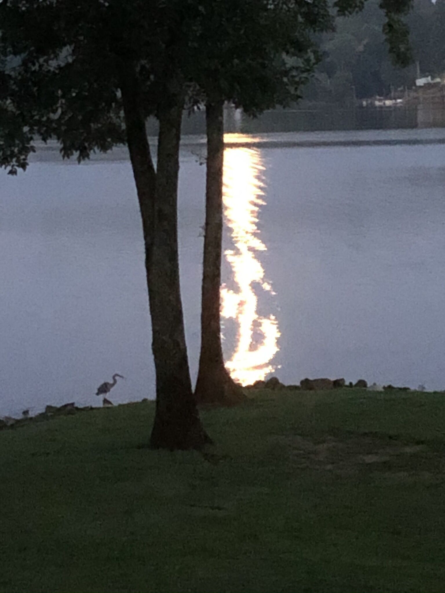 Lakefront, two bedroom, full bath. Relax, swim, kayak & fish on Lake Lookout.