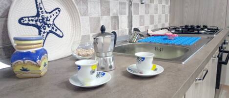 Fridge, oven, stovetop, electric kettle