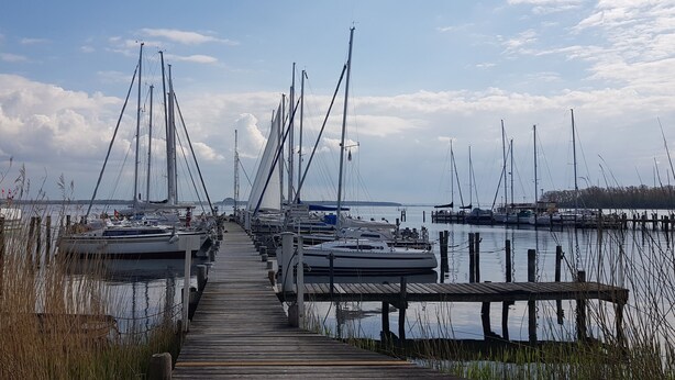 Un puerto deportivo con varios veleros amarrados a un muelle de madera.