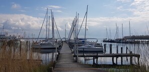 A marina with multiple sailboats docked along a wooden pier. - Apartment 3 Blengow (Rerik)