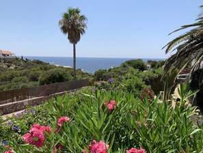 Property grounds - Villa Hibiscus - sea view, private pool, close to beach & restaurants, AC & wifi (Binibequer)