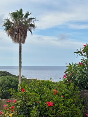 Miscellaneous - Villa Hibiscus - sea view, private pool, close to beach & restaurants, AC & wifi (Binibequer)
