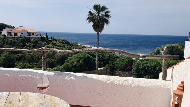 Un balcón con vista al mar, una palmera y un libro titulado "Anita Shreve".