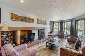 تلفزيون، مدفأة، كُتُب