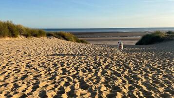 Sun-loungers, beach towels