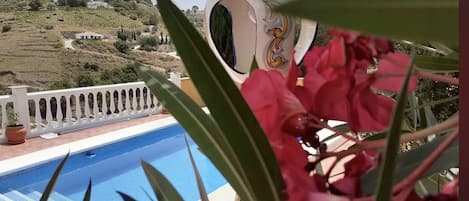 حمّام سباحة خارجي