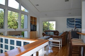 Smart TV, fireplace, books, music library